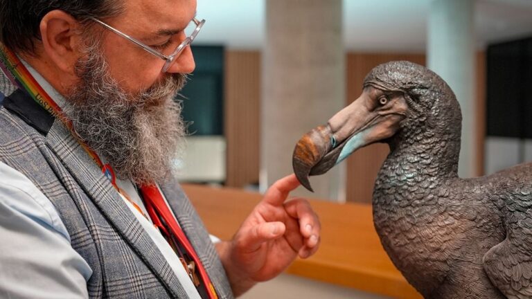What Did Dodo Birds Eat: Exploring the Feeding Behavior of the Dodo