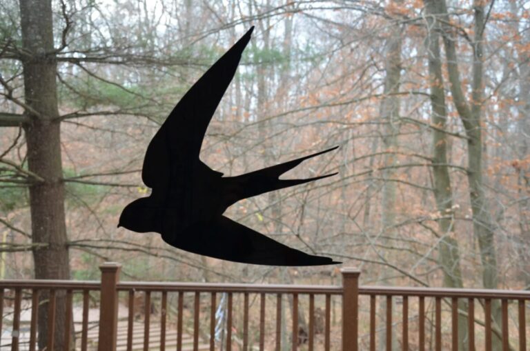 How to Stop Birds From Destroying Window Screens: Proven Fixes That Actually Work